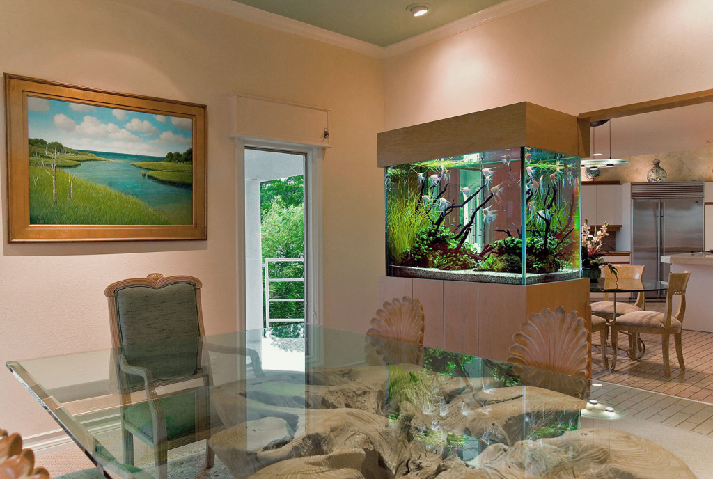 aquarium in the living room