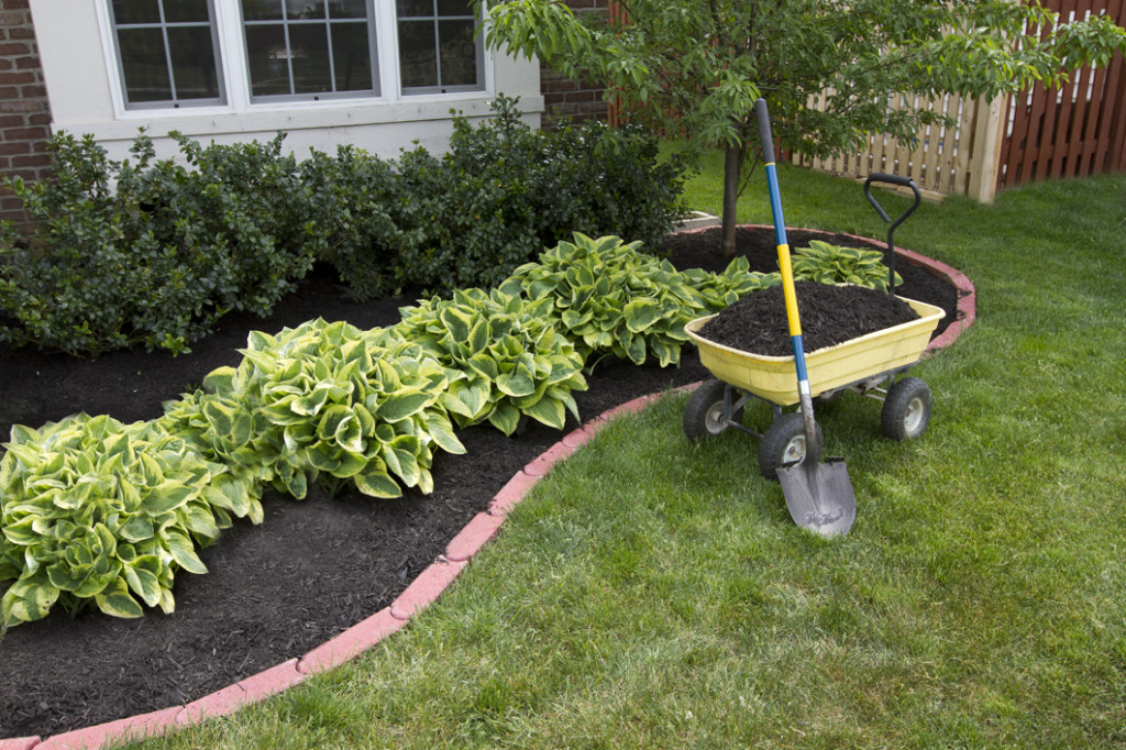 garden bed edging ideas