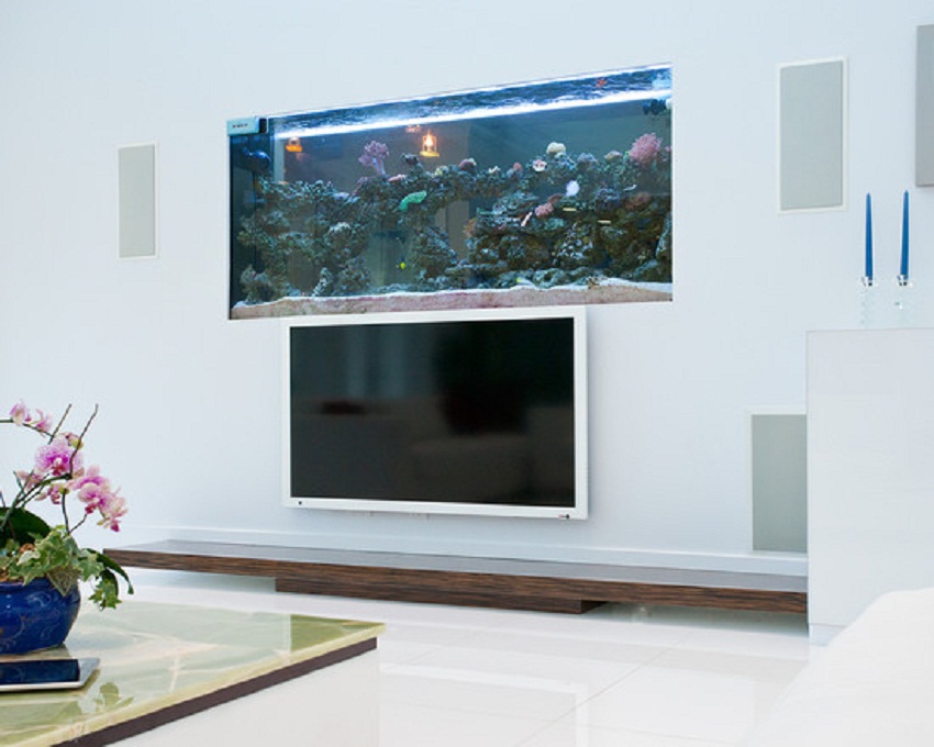 living room fish aquarium
