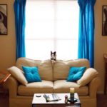 navy blue country curtains