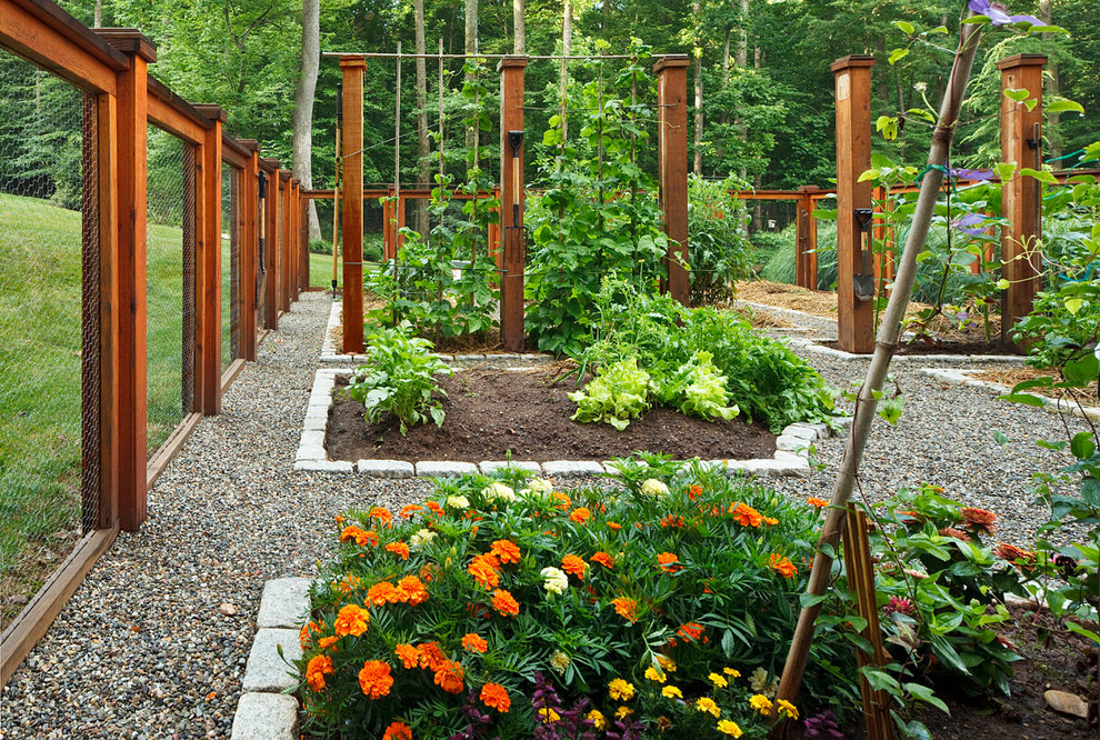 traditional kitchen garden