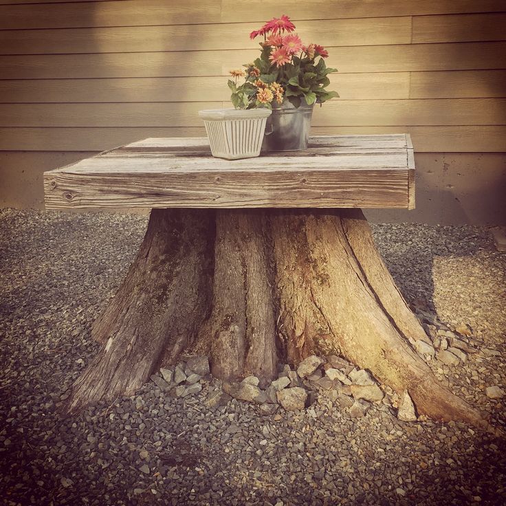 tree stump table display
